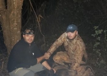 Уловиха пакостлива мечка, заселиха я в парк “Централен Балкан”