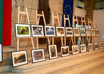 Откриха XII-тия Международен салон “Дивото”, Емил Енчев е тазгодишният носител на наградата на кмета