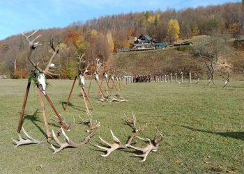 Трофеи от благороден елен показаха в Лъгът
