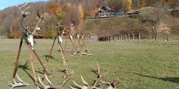 Трофеи от благороден елен показаха в Лъгът