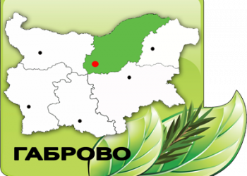 Близо 7000 проверки са извършили служителите на СЦДП през октомври