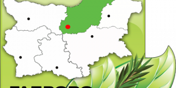 Близо 7000 проверки са извършили служителите на СЦДП през октомври