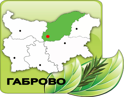 Близо 7000 проверки са извършили служителите на СЦДП през октомври