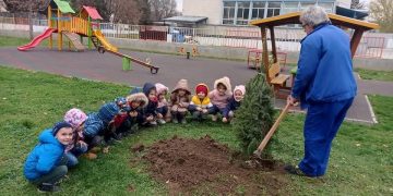 Млади добротворци засадиха чинари в парк “Казармите”, подариха елхички на детските градини