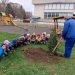 Млади добротворци засадиха чинари в парк “Казармите”, подариха елхички на детските градини