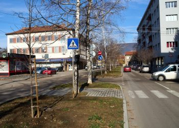 138 нови дръвчета са засадени в Севлиево