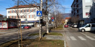 138 нови дръвчета са засадени в Севлиево