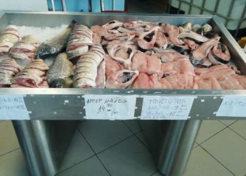 По-скъп Никулден, шаранът поскъпна с 1,50 лв.