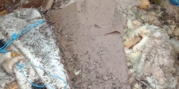 Животински кости и отпадъци пръснати из житните ниви край Богатово