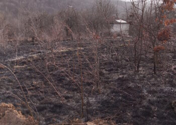 Бързата намеса на пожарната спаси къщи от горящи треви в центъра на с. Кръвеник