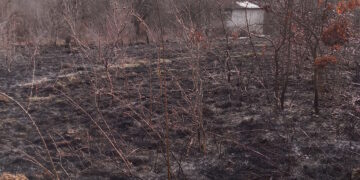 Бързата намеса на пожарната спаси къщи от горящи треви в центъра на с. Кръвеник