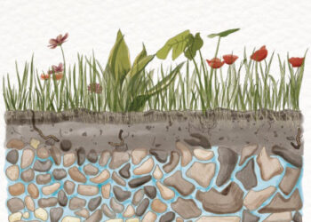 Ученици от Габровска и Великотърновска област ще отбележат Деня на водата с постер-послание “10 причини да опазвам водата”