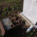 Поругаха християнските гробища в Петко Славейков