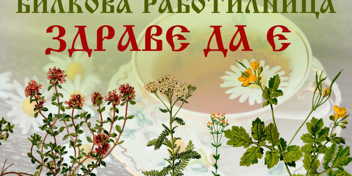Семе Българско – “От върха до кълна – все българско!”