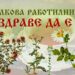 Семе Българско – “От върха до кълна – все българско!”