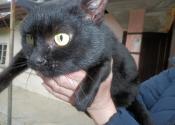 “Там остана целият ни живот! Ще бъде много лошо, ако няма къде да се върнем”