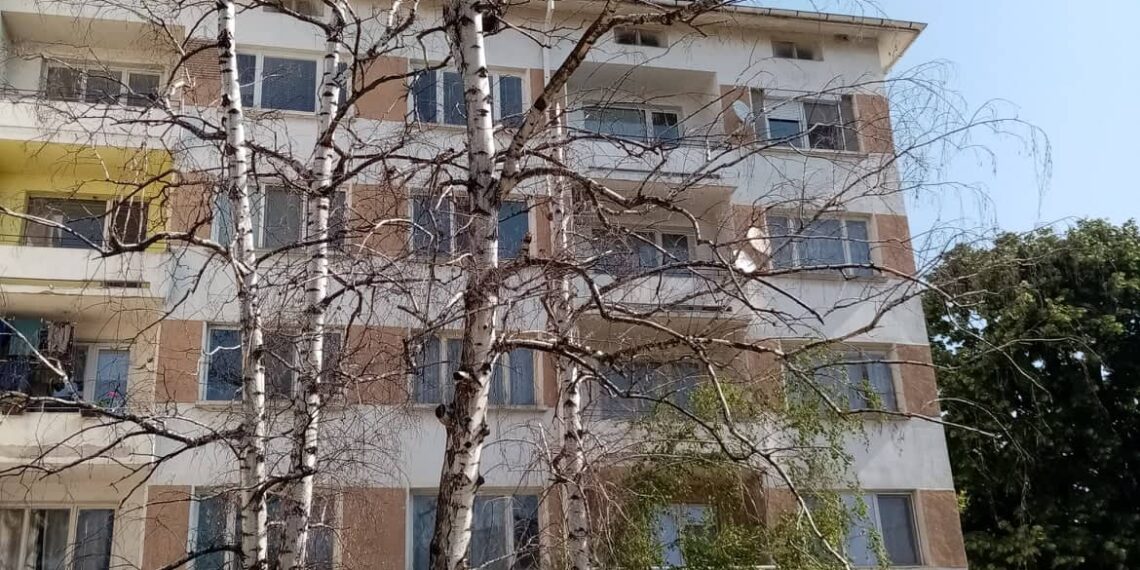 “За” и “против” изсичането на дървета край улиците в Севлиево