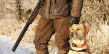 Слаб отстрел на дива свиня през 2021 година отчете ЛРД “Сокол”