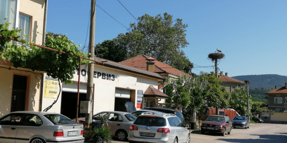 Агресивен щъркел “изчуква” коли пред автосервиз