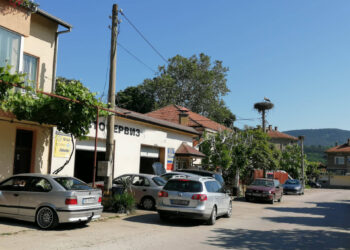 Агресивен щъркел “изчуква” коли пред автосервиз