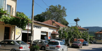 Агресивен щъркел “изчуква” коли пред автосервиз