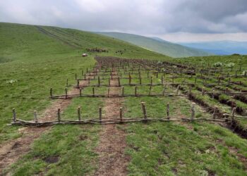Дирекцията на парк “Централен Балкан” възложи изпълнението на дейности за борба с ерозията