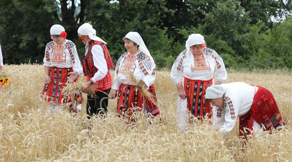 На жътва в с. Ловнидол