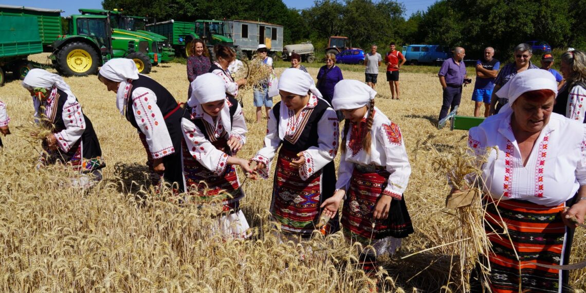 С ритуално зажънване започна жътвата в село Крамолин