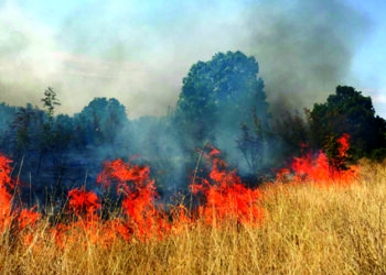 В Кормянско горяха камион ИФА, храсти и треви. Пожари димят из севлиевските села