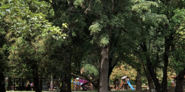 С близо 1,4 млн.лв. от капиталовите разходи да се обнови парк “Черничките”, реши ОбС в Севлиево