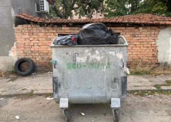 Отново за контейнерите и боклуците до тях