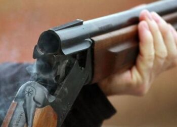 Незаконна пушка докара присъда на 71-годишен севлиевец, конфискуват я