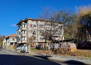 Над 150 нови дръвчета засаждат в града