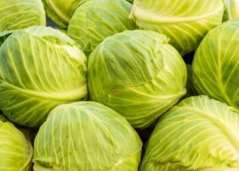 Празник на зелето стягат в Ряховците