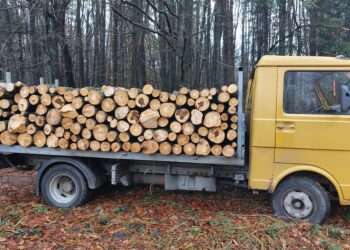 4 183 проверки за извършили горските от СЦДП през ноември