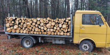 4 183 проверки за извършили горските от СЦДП през ноември