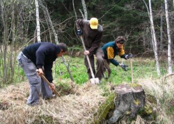 10 милиона лева получава Северноцентралното държавно предприятие за залесяване