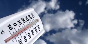 Температурен рекорд – 23 градуса през януари