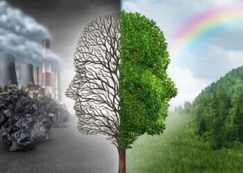 Пенсиите ще се изплащат между 9 и 20 януари