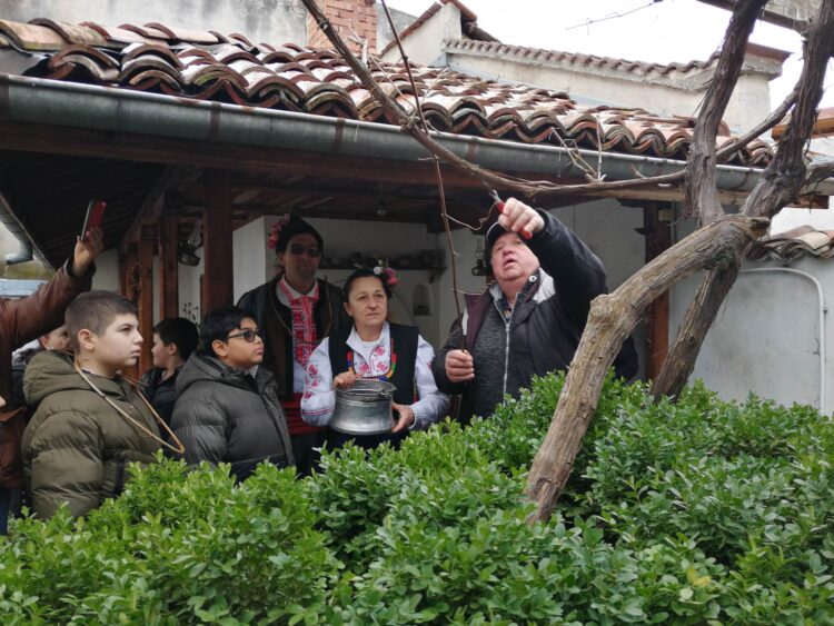 Ритуално зарязаха лозите в Дандолови къщи