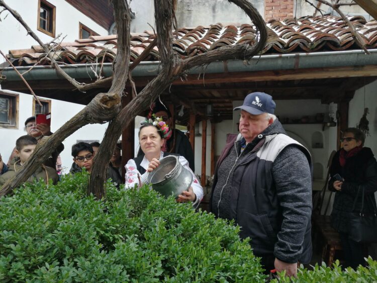 Ритуално зарязаха лозите в Дандолови къщи