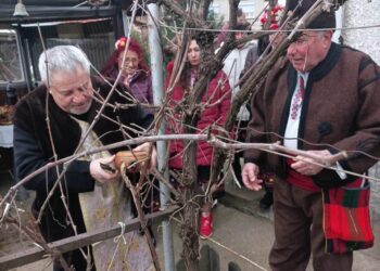 Зарезан в селата