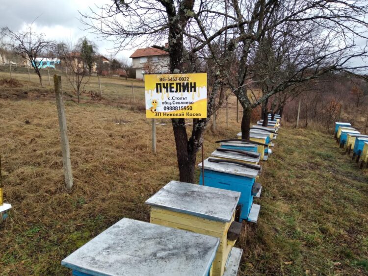 Днес почитаме Св. Харалампий – покровител на меда и пчеларите