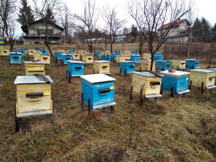 Днес почитаме Св. Харалампий – покровител на меда и пчеларите