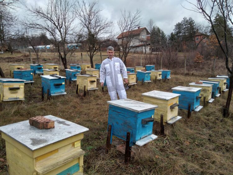 Днес почитаме Св. Харалампий – покровител на меда и пчеларите