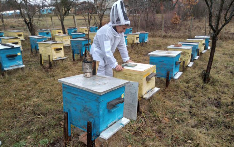 Днес почитаме Св. Харалампий – покровител на меда и пчеларите