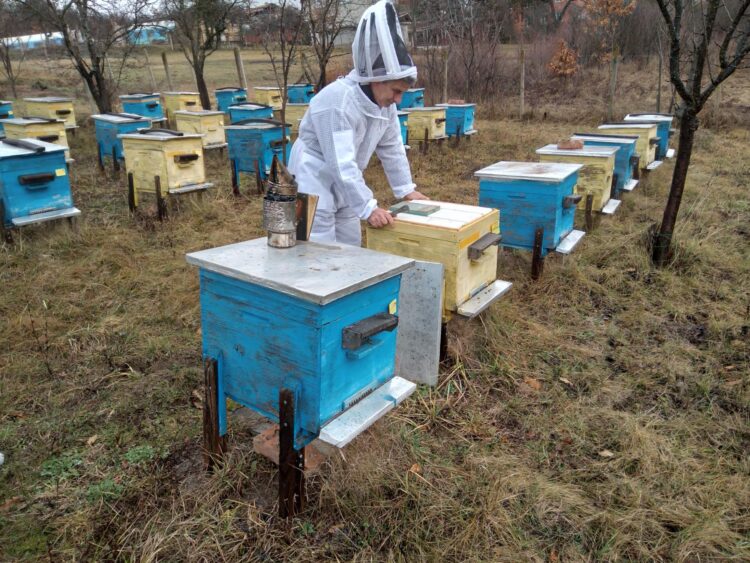 Днес почитаме Св. Харалампий – покровител на меда и пчеларите