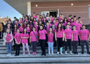 Ден на розовата фланелка в училище