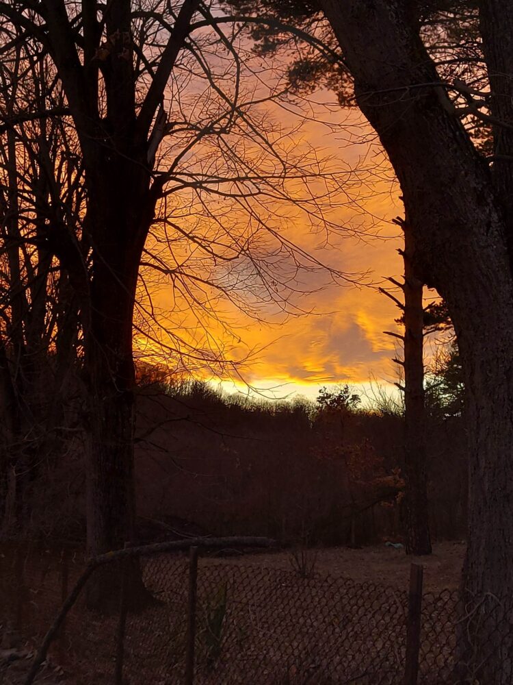 Юлия, 56 години, Донецка област, Украйна: “Не срещнах недружелюбни хора, България ни стана втора родина”