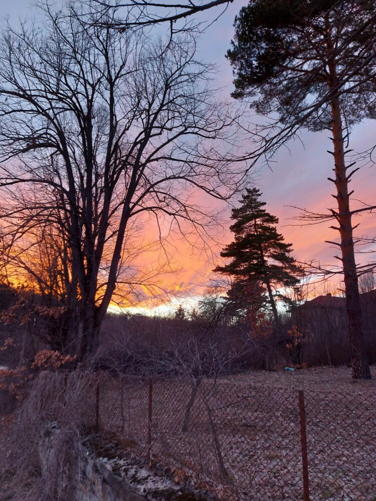 Юлия, 56 години, Донецка област, Украйна: “Не срещнах недружелюбни хора, България ни стана втора родина”
